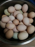 密洋青禾柴雞蛋 密云農家土雞蛋 散養山間新鮮柴雞蛋 農村笨雞蛋 40枚 約 1.9kg 曬單實(shí)拍圖