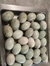 重慶散養土鵝蛋老鵝蛋正宗草鵝蛋孕婦蛋 12個(gè) 曬單實(shí)拍圖