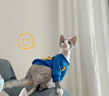 曇蓓漫貓咪寵物衣服冬季小奶貓狗防掉毛加絨保暖衛衣小型幼犬貓秋冬服飾 寵物加絨笑臉衛衣、藍色 M （建議體重4-5斤） 曬單實(shí)拍圖