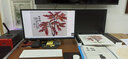 紫光（UNIS） 紫光M1plus掃描儀辦公專(zhuān)業(yè) 幅面高清彩色照片相片設計圖稿水彩畫(huà)模具實(shí)物平面平板式掃描 M2130（A3幅面）適合掃描圖稿 曬單實(shí)拍圖