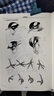 中國畫(huà)白描描摹本 工筆畫(huà)白描底稿臨摹畫(huà)冊 山水花鳥(niǎo)線(xiàn)稿描摹練習冊 國畫(huà)初學(xué)者入門(mén)套裝 工筆畫(huà)白描線(xiàn)稿本 千里江山宋代花鳥(niǎo)宋清花鳥(niǎo)工筆人物 宋清花鳥(niǎo)白描底稿-60幅 曬單實(shí)拍圖