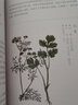 你不懂精油1：零基礎(chǔ)精油入門 精油書精油護(hù)膚全書新手入門護(hù)膚知識全集美容/美體大王美容書籍 曬單實(shí)拍圖