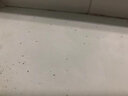 藝特佳書(shū)虱殺蟲(chóng)劑床上吸血蟲(chóng)室內殺跳蚤蟑螂藥宿舍除臭蟲(chóng)滅蟑螂螞蟻克星 一瓶殺蟲(chóng)劑 曬單實(shí)拍圖
