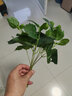 樹顏單支假花綠蘿仿真綠植植物小草塑料花插花綠草工程家居隔斷裝飾品 一支7叉爬山虎 曬單實拍圖