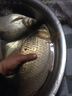 浮生（fusheng） 浮生黑坑魚(yú)竿超硬超輕黑棍大物飛磕19調(diào)手桿鰱鳙臺(tái)釣竿羅非巨物 超硬8H6.3米19調(diào) 曬單實(shí)拍圖