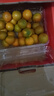 梓樂(lè )果廣西融安金桔新鮮脆蜜金桔脆蜜金柑滑皮金桔孕婦水果年貨禮盒順豐 5斤  二代融安金桔 （26-31顆/每斤）彩箱 曬單實(shí)拍圖