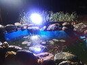魚(yú)池過(guò)濾器不銹鋼箱水循環(huán)水泵系統(tǒng)室外魚(yú)池塘凈化過(guò)濾器材料凈水 全套50立方瀑布箱+水泵+水管6米 曬單實(shí)拍圖