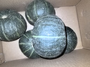 隴原紅 山東貝貝南瓜小南瓜新鮮蔬菜 粉糯香甜 貝貝南瓜惠和1號(hào) 4.5斤 曬單實(shí)拍圖