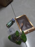 陶粒砂水族箱陶瓷沙水草泥營(yíng)養能源種植土基肥料魚(yú)缸造景底砂黑泥 陶粒5斤 曬單實(shí)拍圖