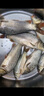 釣魚(yú)王  翹嘴子線(xiàn)雙鉤加長(cháng)金海夕鉤翹嘴鳊魚(yú)線(xiàn)組 鉤11#線(xiàn)2.5#1.6米,6付 曬單實(shí)拍圖