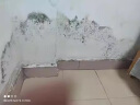 SnowDream日本除霉剂去霉菌霉斑霉点家用墙壁墙面发霉清除去霉神器300ml 实拍图