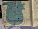 洁丽雅（Grace）童巾儿童毛巾A类纯棉抗菌洗脸家用卡通可爱宝宝吸水小毛巾4条装 实拍图