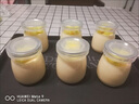 潤華年食品級果醬玻璃瓶子密封罐帶蓋小迷你小號攜帶透明圓形酸奶瓶布丁 大號 200mL 6件套 曬單實(shí)拍圖