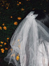 頭紗登記領(lǐng)證拍照道具新娘主婚紗結(jié)婚小婚紗復(fù)古求婚女高級(jí)感法式 白色雙層蝴蝶結(jié)長(zhǎng)約45cm[發(fā)梳款] 60cm-80cm 曬單實(shí)拍圖