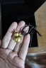 周生生王安宇同款福祿葫蘆古法黃金項鏈足金吊墜含繩91199Z計價(jià) 70厘米 - 15.21克(含工費1200元) 曬單實(shí)拍圖