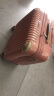 莎米特行李箱小型女拉杆箱男通用旅行箱可登机箱PC338TC18英寸玫瑰金 实拍图