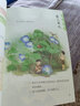 2025適用新版人教版小學4四年級上冊語文書人教版四年級語文上冊部編版課本教材教科書人民教育出版社小學四上學期語文書 曬單實拍圖
