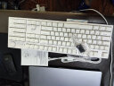 GANSS高斯GS87C/104C客制化机械键盘热插拔轴电竞游戏办公键盘背光电脑键盘 GS104C白色【白光】单模有线版 全键热插拔 KTT红轴 实拍图