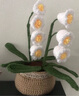 手工編織DIY毛線(xiàn)花束材料包郁金香小雛菊盆栽鉤織自制永生花 材料包鈴蘭花盆栽+工具+教程 曬單實(shí)拍圖