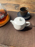 九土手工景德鎮(zhèn)白瓷茶壺簡約家用陶瓷日式功夫茶具復(fù)古小泡茶葉壺 單壺 170ml 曬單實(shí)拍圖