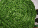 婉和 不掉渣 仿真草坪人造假草皮绿植地毯室外户外阳台家用草坪垫胶 加厚加密25mm/1平方 实拍图