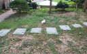 數(shù)學(xué)和數(shù)學(xué)家的故事（第4冊）偉大的華人數(shù)學(xué)家 盈不足數(shù)、鏡反數(shù)、猜數(shù)游戲和數(shù)字“黑洞”等數(shù)學(xué)內(nèi)容 曬單實(shí)拍圖