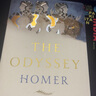 【現貨】英文原版 The Odyssey 奧德賽 荷馬史詩(shī) 艾米利&middot;威爾遜譯者 Homer,Emily Wilso 全英文版 曬單實(shí)拍圖