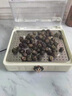 德薩帝（Desadi）【品質(zhì)強(qiáng)悍】德國(guó) 蒸鍋 電蒸鍋 20L 大容量 家用 蒸箱 多功能 多層蒸燉一體 蒸汽 多用一體 電蒸箱 曬單實(shí)拍圖