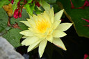 七工匠60mm F2.8二代1:1倍超微距昆蟲(chóng)花卉適用于E口XF口Z50 ZFC M200 A6400 6700 ZVE10 xt5 xt50 Z30 黑色 尼康Z口 曬單實(shí)拍圖