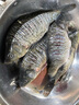渤洋多功能不銹鋼炮臺支架桿魚竿支架釣魚支架地插萬向 藍(lán)色 2.1M（AX-04） 曬單實拍圖