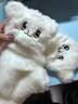 Shiftend手套女冬季可愛毛絨絨小貓咪少女風(fēng)韓版百搭學(xué)生露指手套兩用秋冬 貓咪白色 翻蓋款 曬單實拍圖