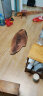 LX HAUSYS韩国进口地板石塑LG木纹PVC地板贴水泥地直铺2mm加厚耐磨家用办公 02淡雅榉木纹【环保胶贴铺装】 平米 实拍图