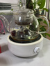 新功（SEKO）養(yǎng)生壺玻璃噴淋壺茶具蒸氣泡茶煮茶器電陶爐配壺煮黑茶壺 734 曬單實拍圖