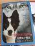 牧羊犬杰克 2 我想有個(gè)朋友 幼兒圖書(shū) 早教書(shū) 故事書(shū) 兒童書(shū)籍 曬單實(shí)拍圖