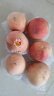 京愿 新鲜水蜜桃 毛桃脆甜桃子 红不软 当季孕妇生鲜水果 5斤（净重4.5-5斤）单果140g+ 实拍图