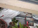 萌優(yōu)優(yōu)（MENG YOU YOU） 農(nóng)用鐵鍬戶外挖土錳鋼加厚鐵锨種植小鏟子尖鍬雪鏟 1.3m尖鍬 曬單實拍圖