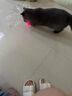 小貓喵喵寵物激光筆逗貓貓玩具鐳射紅外線不銹鋼電子燈逗貓棒貓咪用品 顏色隨機(jī)1個(gè)裝 曬單實(shí)拍圖