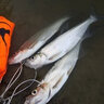 哈斯達(dá)（HISTAR）魔杖路亞竿套裝蟲(chóng)竿黑坑鱖魚(yú)鱸魚(yú)超快調(diào)魔丸水滴輪路亞竿全套魚(yú)竿 1.95米 L調(diào)直柄E系列雙線杯紡車(chē)輪 曬單實(shí)拍圖