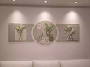 有介客廳裝飾畫北歐創(chuàng)意綠植三聯(lián)畫高檔現(xiàn)代簡(jiǎn)約沙發(fā)背景墻掛畫奶油 [吉象如意]-[瓷磚墻面聯(lián)系客 左右80*60中間直徑80厘米金色框 曬單實(shí)拍圖