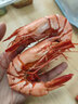 東山島九節(jié)蝦干即食特大號(hào)斑節(jié)對(duì)蝦干蝦仁干烤蝦海產(chǎn)干貨孕婦零食 大號(hào)九節(jié)蝦干半斤（約30只） 曬單實(shí)拍圖