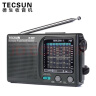 德生（Tecsun） R-909老年人全波段收音机广播半导体便携式老人指针迷你FM收音机 标配+德生通用耳机 实拍图