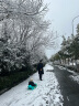 梦多福 滑雪板 滑雪车 加厚耐磨儿童卡通滑雪板单板带刹车滑草板滑沙板爬犁雪橇车冰车 亲子款100cm【适合亲子或两个10岁以下儿童】 托帕绿【刹车+拉绳+坐垫+雪球夹+雪铲】 实拍图