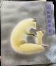小狐貍買手套 幼小銜接橋梁書百班千人推薦（愛心樹童書） 曬單實拍圖