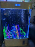 美諾魚缸客廳半圓型魚缸屏風大中小型家用落地式玻璃金魚缸生態(tài)免換水 白色 80*40*138 曬單實拍圖