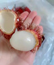優(yōu)味集【JD順豐速發(fā)】越南紅毛丹進(jìn)口水果毛荔枝毛丹果紅牡丹孕婦果生鮮 2500g凈重裝（80%選擇-超劃算） 曬單實(shí)拍圖