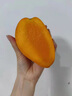 騎猴趕馬金煌芒當季新鮮水果云南現(xiàn)摘熱帶芒果整箱送禮金煌芒甜心芒果 凈重4.5斤【單果300-400g】精選裝 新鮮采摘 顆顆甄選 曬單實拍圖