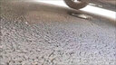 車(chē)巨人汽車(chē)空調清洗劑除臭殺菌劑蒸發(fā)器箱出風(fēng)口管道內部去異味免拆套裝 汽車(chē)空調清洗劑 650ml 1瓶 曬單實(shí)拍圖