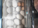 日本鸡蛋盒24格加厚冰箱鸡蛋收纳盒保鲜盒家用鸡蛋托架食品储物盒 冰箱收纳盒-2件套4.5L 实拍图