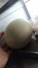 章大鮮新鮮鴕鳥(niǎo)蛋食用蛋鴕鳥(niǎo)蛋美食禮盒裝 3.5-3.8斤 禮盒裝帶底座 曬單實(shí)拍圖