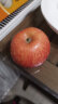 沙窝曙光陕西洛川红富士苹果水果新鲜脆甜冰糖心时令应季丑苹果水果礼盒 带箱5斤70-80mm（净重4.5-5斤） 实拍图